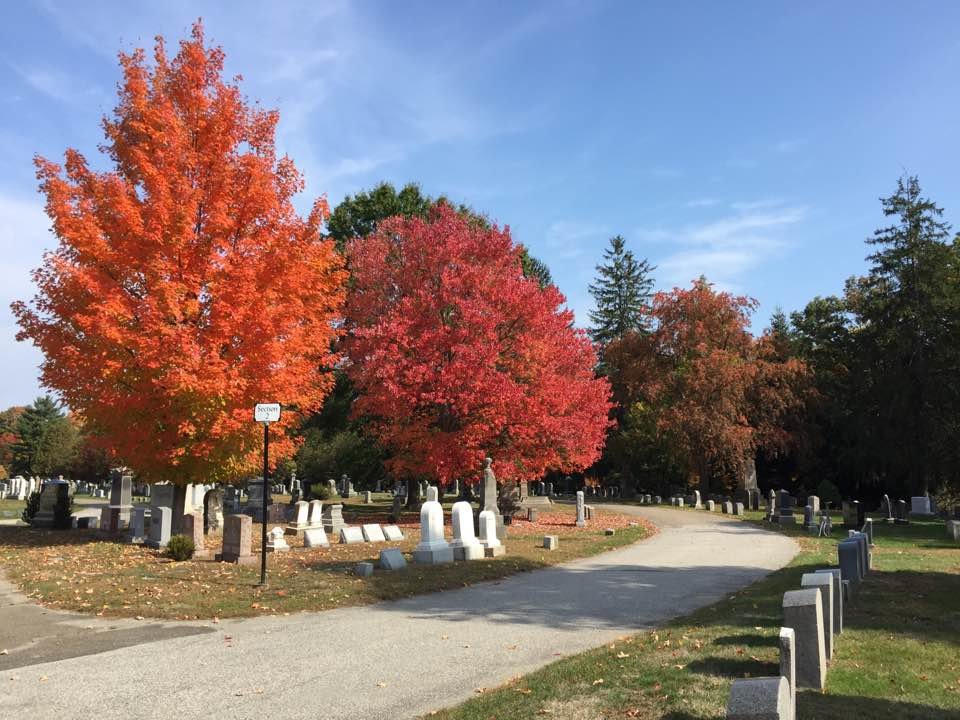 Southport Cemeteries | Willowbrook Cemetery