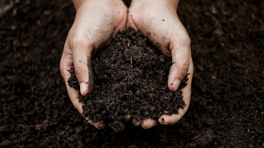 Handful of Dirt