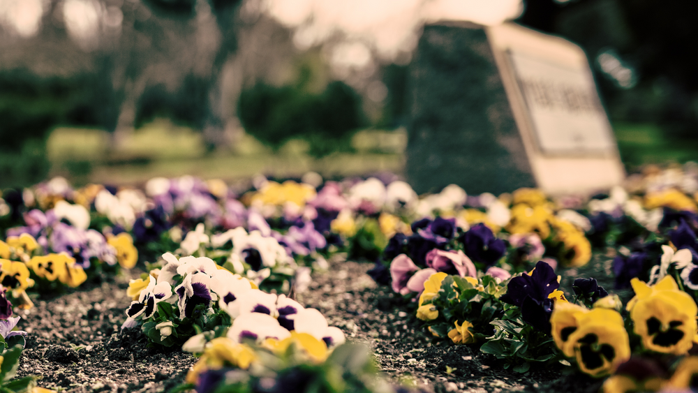 Discover the Comprehensive Services Offered by Willowbrook Cemetery